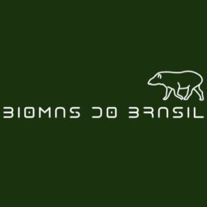 Sobre Nós